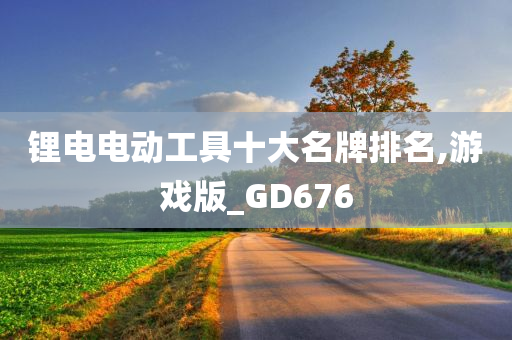 锂电电动工具十大名牌排名,游戏版_GD676