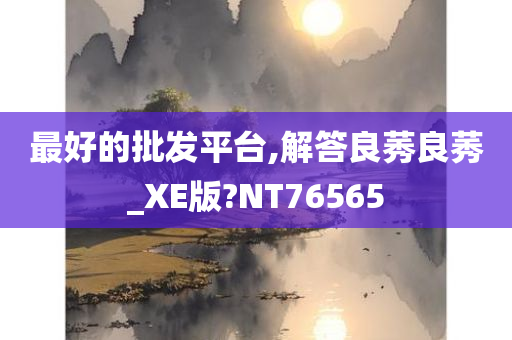 最好的批发平台,解答良莠良莠_XE版?NT76565