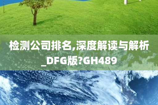 检测公司排名,深度解读与解析_DFG版?GH489