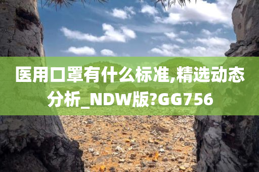 医用口罩有什么标准,精选动态分析_NDW版?GG756