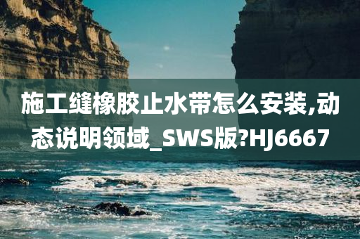 施工缝橡胶止水带怎么安装,动态说明领域_SWS版?HJ6667