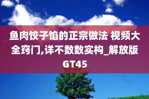 鱼肉饺子馅的正宗做法 视频大全窍门,详不数数实构_解放版GT45