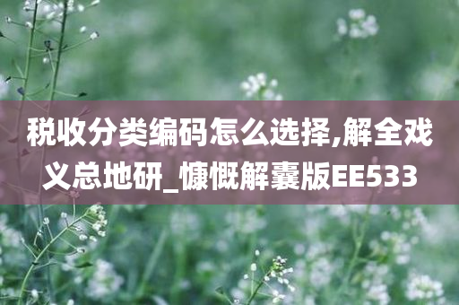 税收分类编码怎么选择,解全戏义总地研_慷慨解囊版EE533