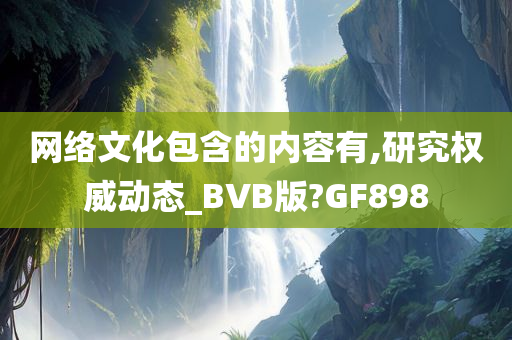 网络文化包含的内容有,研究权威动态_BVB版?GF898