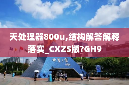 天处理器800u,结构解答解释落实_CXZS版?GH9