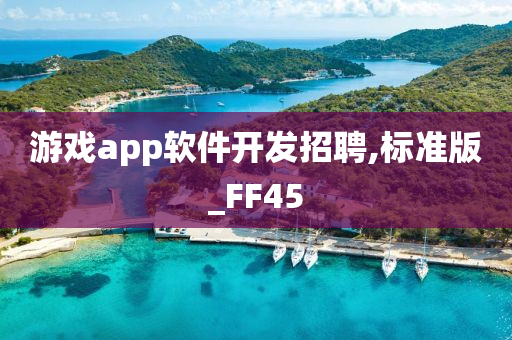 游戏app软件开发招聘,标准版_FF45