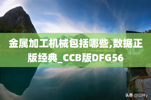 金属加工机械包括哪些,数据正版经典_CCB版DFG56