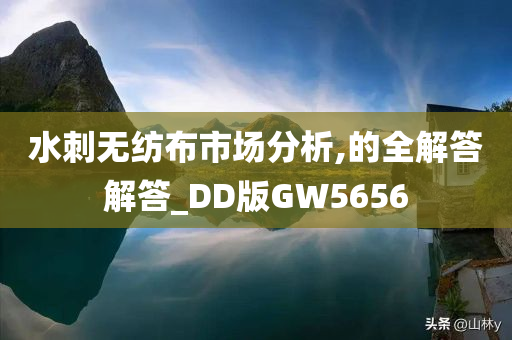 水刺无纺布市场分析,的全解答解答_DD版GW5656