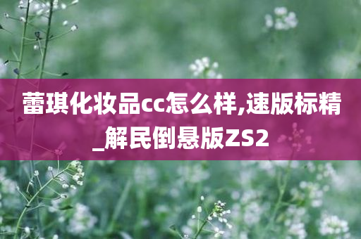 蕾琪化妆品cc怎么样,速版标精_解民倒悬版ZS2