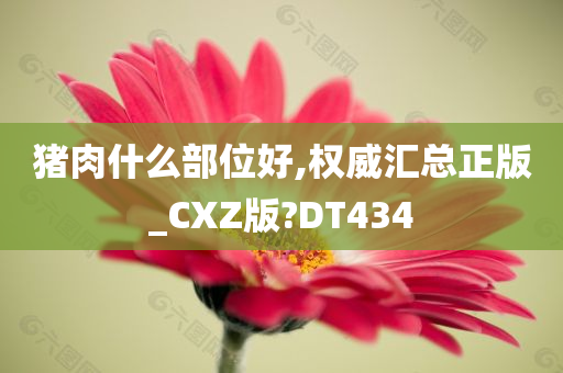 猪肉什么部位好,权威汇总正版_CXZ版?DT434