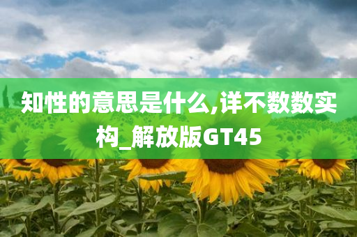 知性的意思是什么,详不数数实构_解放版GT45