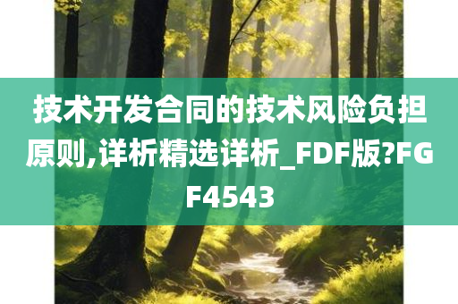 技术开发合同的技术风险负担原则,详析精选详析_FDF版?FGF4543