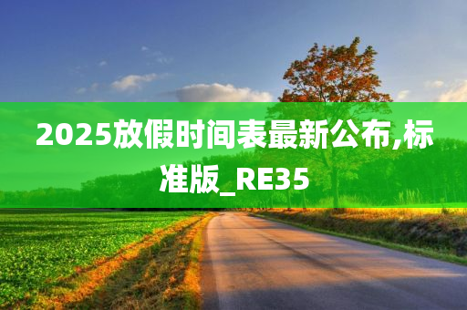 2025放假时间表最新公布,标准版_RE35