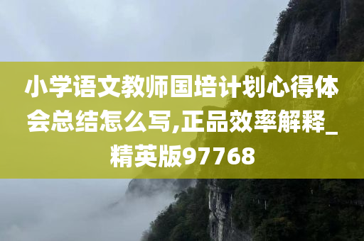 小学语文教师国培计划心得体会总结怎么写,正品效率解释_精英版97768