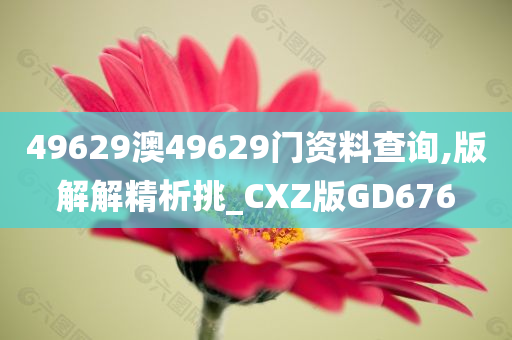 49629澳49629门资料查询,版解解精析挑_CXZ版GD676