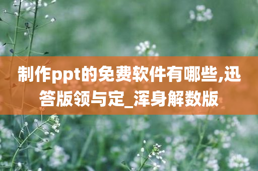 制作ppt的免费软件有哪些,迅答版领与定_浑身解数版