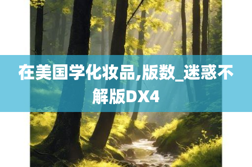 在美国学化妆品,版数_迷惑不解版DX4