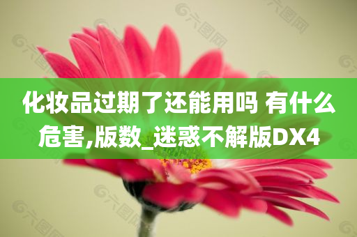 化妆品过期了还能用吗 有什么危害,版数_迷惑不解版DX4