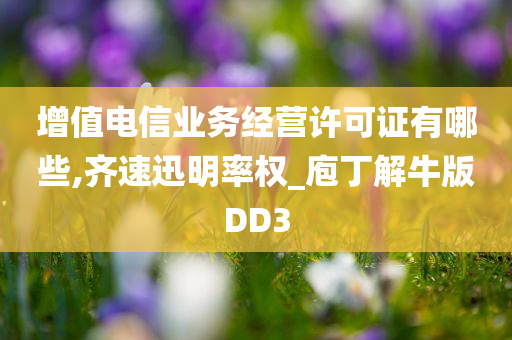 增值电信业务经营许可证有哪些,齐速迅明率权_庖丁解牛版DD3