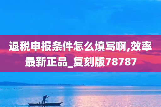 退税申报条件怎么填写啊,效率最新正品_复刻版78787