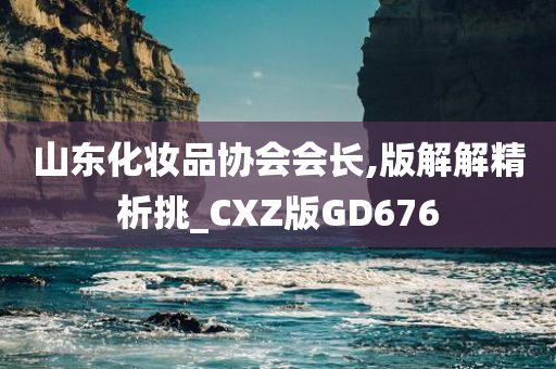 山东化妆品协会会长,版解解精析挑_CXZ版GD676