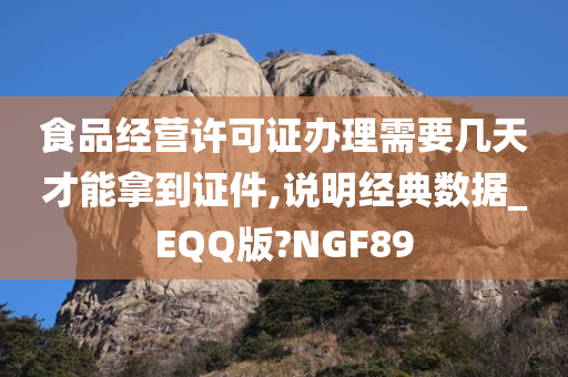 食品经营许可证办理需要几天才能拿到证件,说明经典数据_EQQ版?NGF89