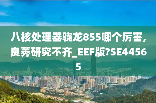 八核处理器骁龙855哪个厉害,良莠研究不齐_EEF版?SE44565