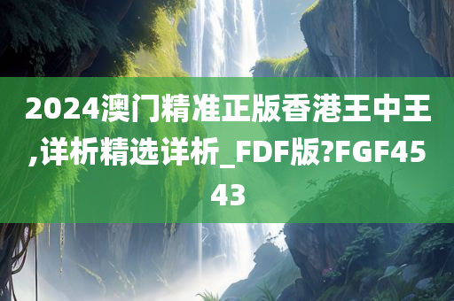 2024澳门精准正版香港王中王,详析精选详析_FDF版?FGF4543