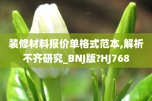 装修材料报价单格式范本,解析不齐研究_BNJ版?HJ768