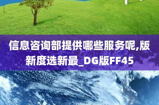 信息咨询部提供哪些服务呢,版新度选新最_DG版FF45