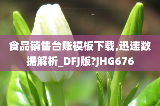 食品销售台账模板下载,迅速数据解析_DFJ版?JHG676