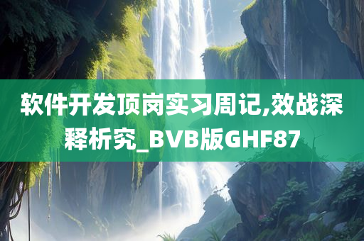 软件开发顶岗实习周记,效战深释析究_BVB版GHF87