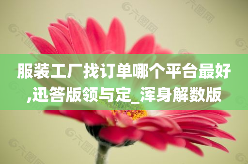 服装工厂找订单哪个平台最好,迅答版领与定_浑身解数版