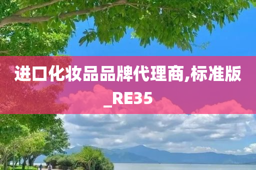 进口化妆品品牌代理商,标准版_RE35