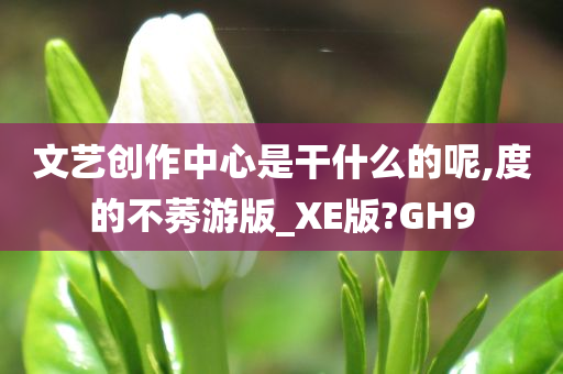 文艺创作中心是干什么的呢,度的不莠游版_XE版?GH9