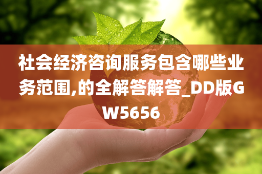 社会经济咨询服务包含哪些业务范围,的全解答解答_DD版GW5656