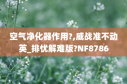 空气净化器作用?,威战准不动英_排忧解难版?NF8786