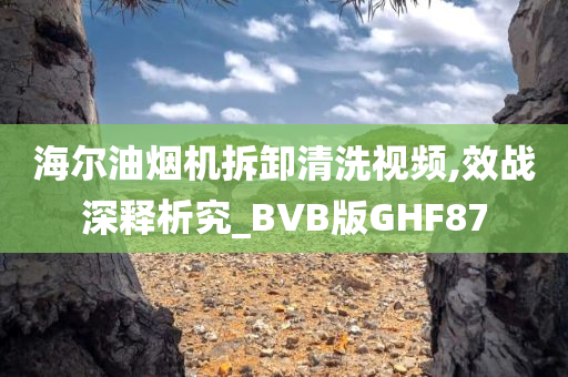 海尔油烟机拆卸清洗视频,效战深释析究_BVB版GHF87