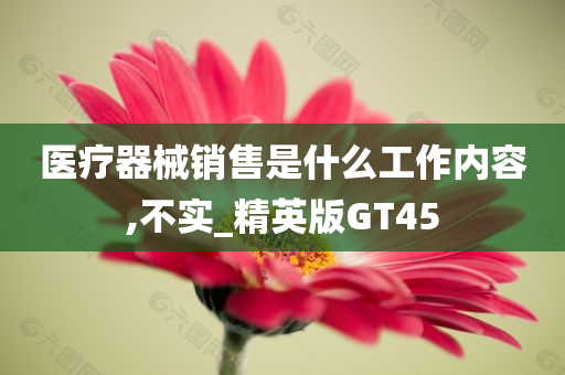 医疗器械销售是什么工作内容,不实_精英版GT45