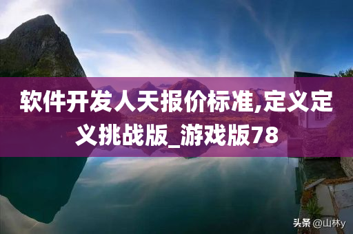 软件开发人天报价标准,定义定义挑战版_游戏版78