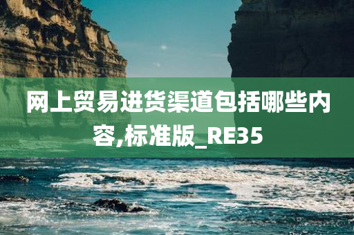 网上贸易进货渠道包括哪些内容,标准版_RE35