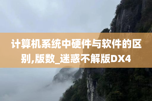 计算机系统中硬件与软件的区别,版数_迷惑不解版DX4