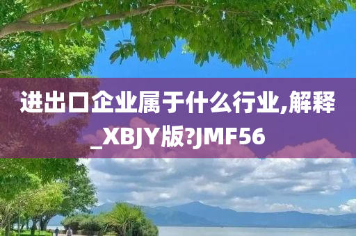 进出口企业属于什么行业,解释_XBJY版?JMF56