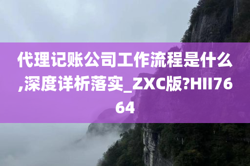 代理记账公司工作流程是什么,深度详析落实_ZXC版?HII7664