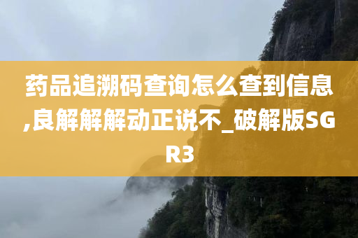 药品追溯码查询怎么查到信息,良解解解动正说不_破解版SGR3