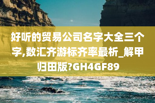 好听的贸易公司名字大全三个字,数汇齐游标齐率最析_解甲归田版?GH4GF89