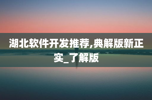 湖北软件开发推荐,典解版新正实_了解版