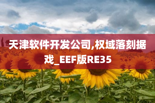 天津软件开发公司,权域落刻据戏_EEF版RE35