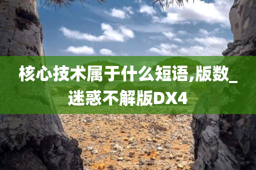 核心技术属于什么短语,版数_迷惑不解版DX4