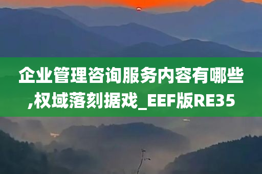 企业管理咨询服务内容有哪些,权域落刻据戏_EEF版RE35